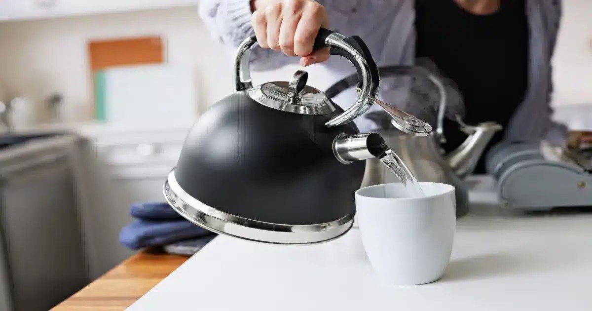 Top 5 Best Stainless Steel Tea Kettle Reviews 2023
