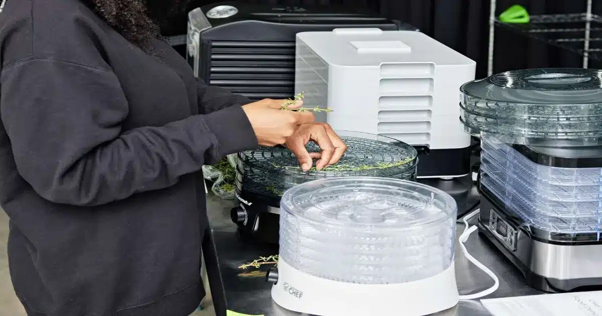 Top 5 Best Cheap Food Dehydrator Reviews 2024