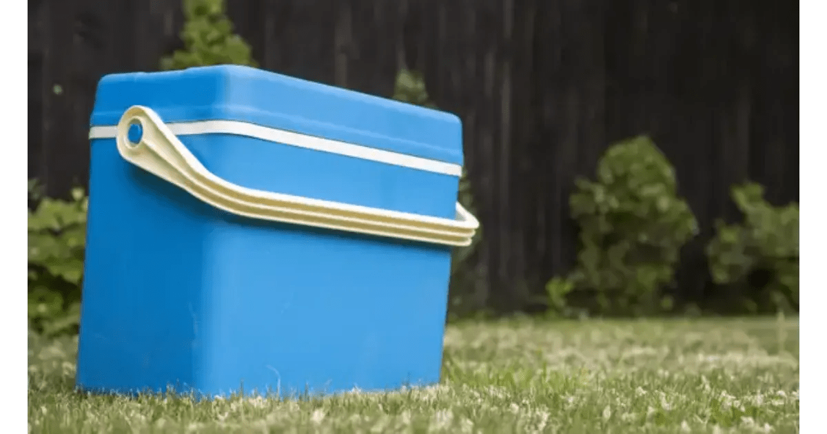 Best Cooler For Resting Meat 2023