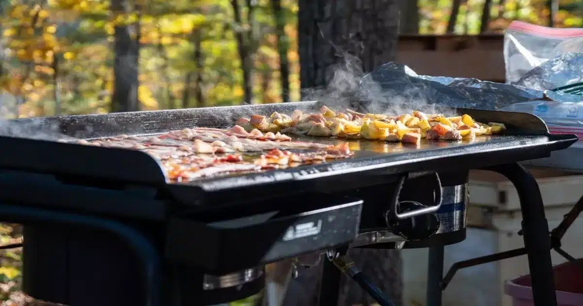 Top 15 Best Camping Griddle Reviews & Comparison 2023