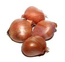 shallots2