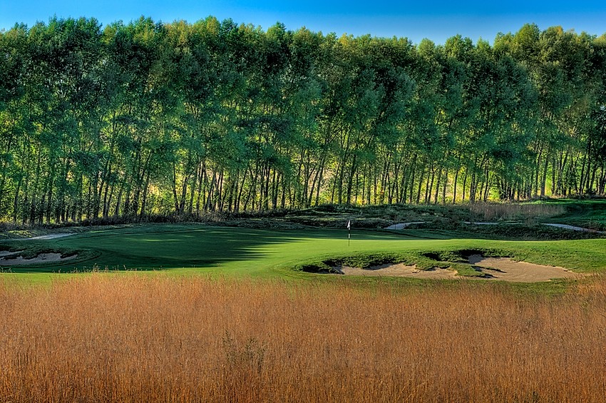 Black Sheep Golf Club No Other Golf Club Quite Like it