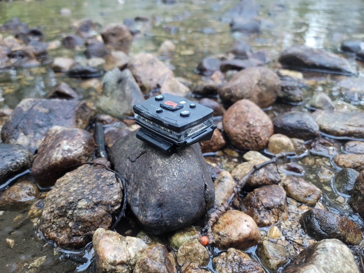 Guardian Angel Wearable Safety Light Review – BlackSheepWarrior.Com