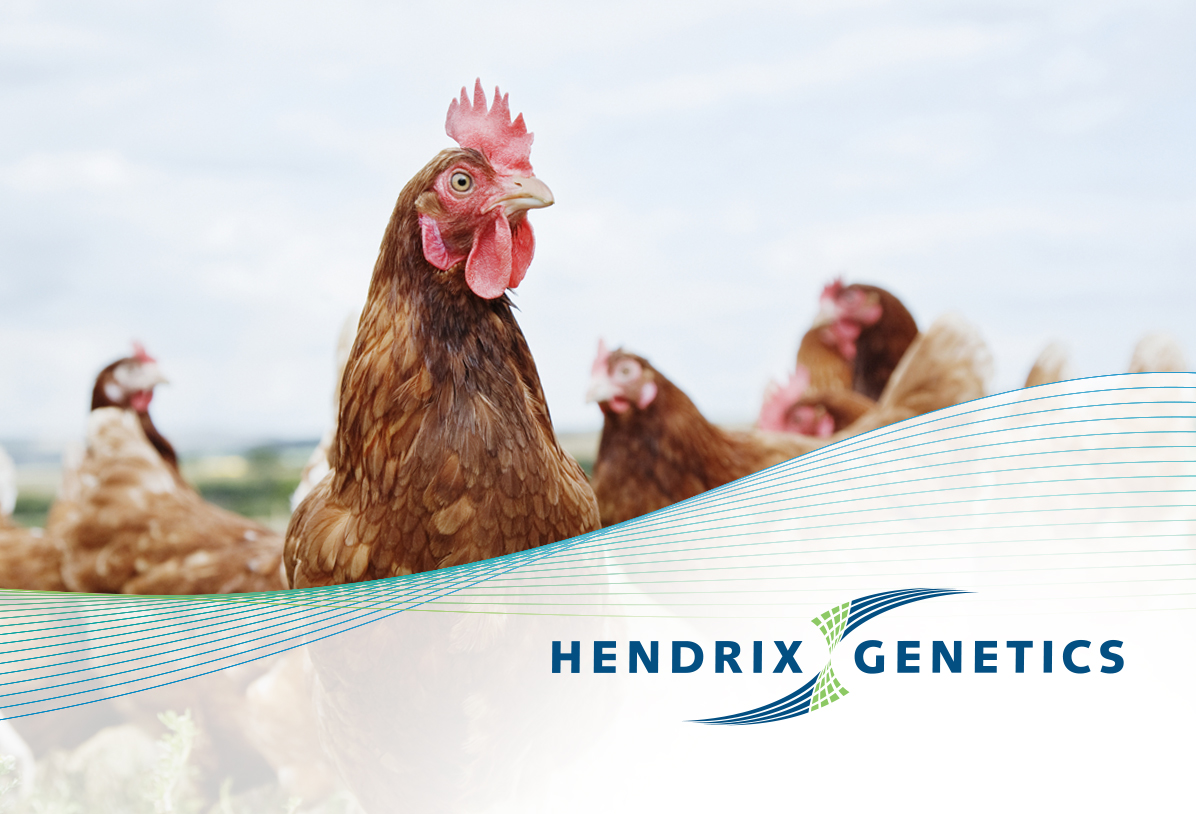 Blacksmith Hendrix Blacksmith