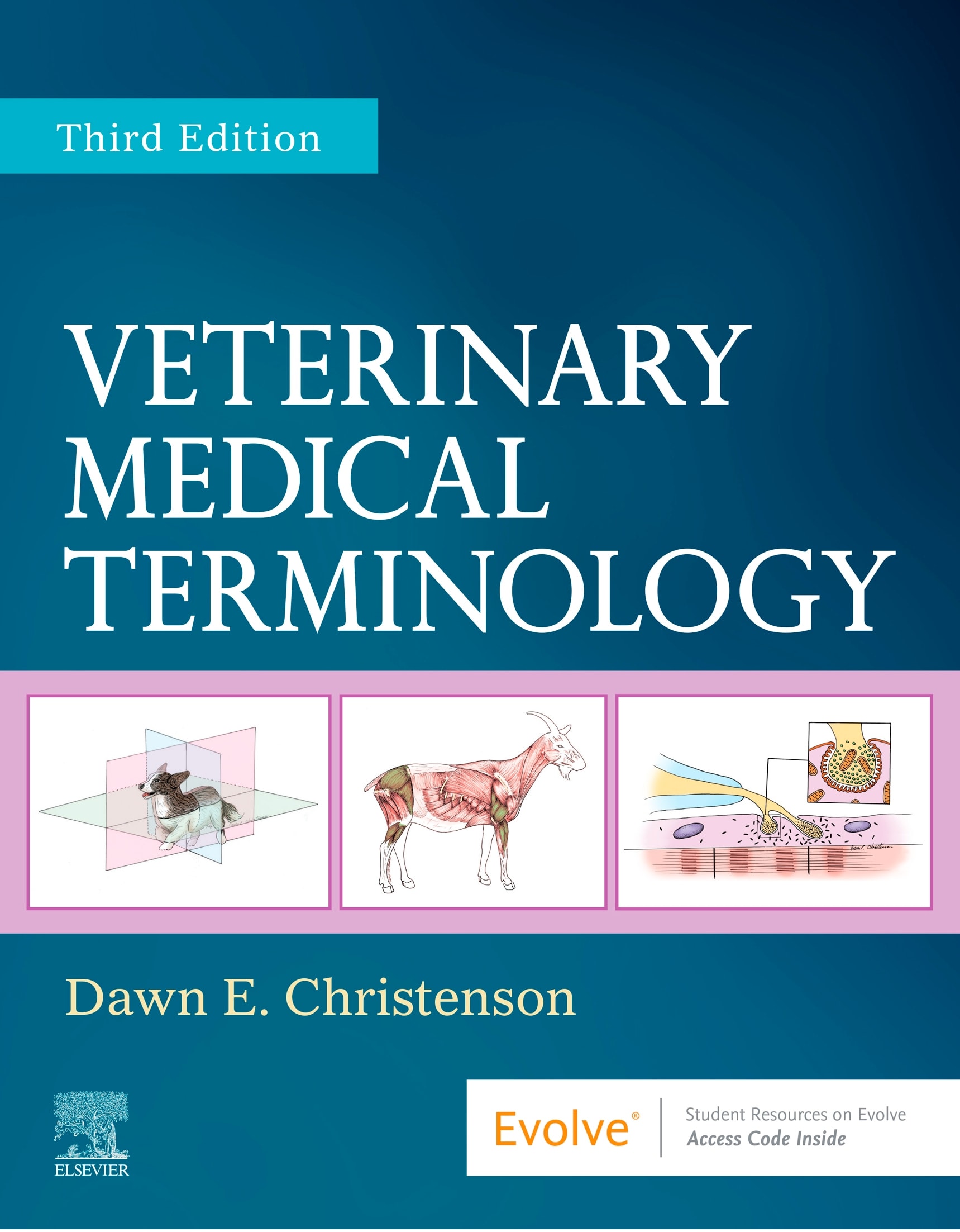 1 Online Veterinary Assistant Training Program