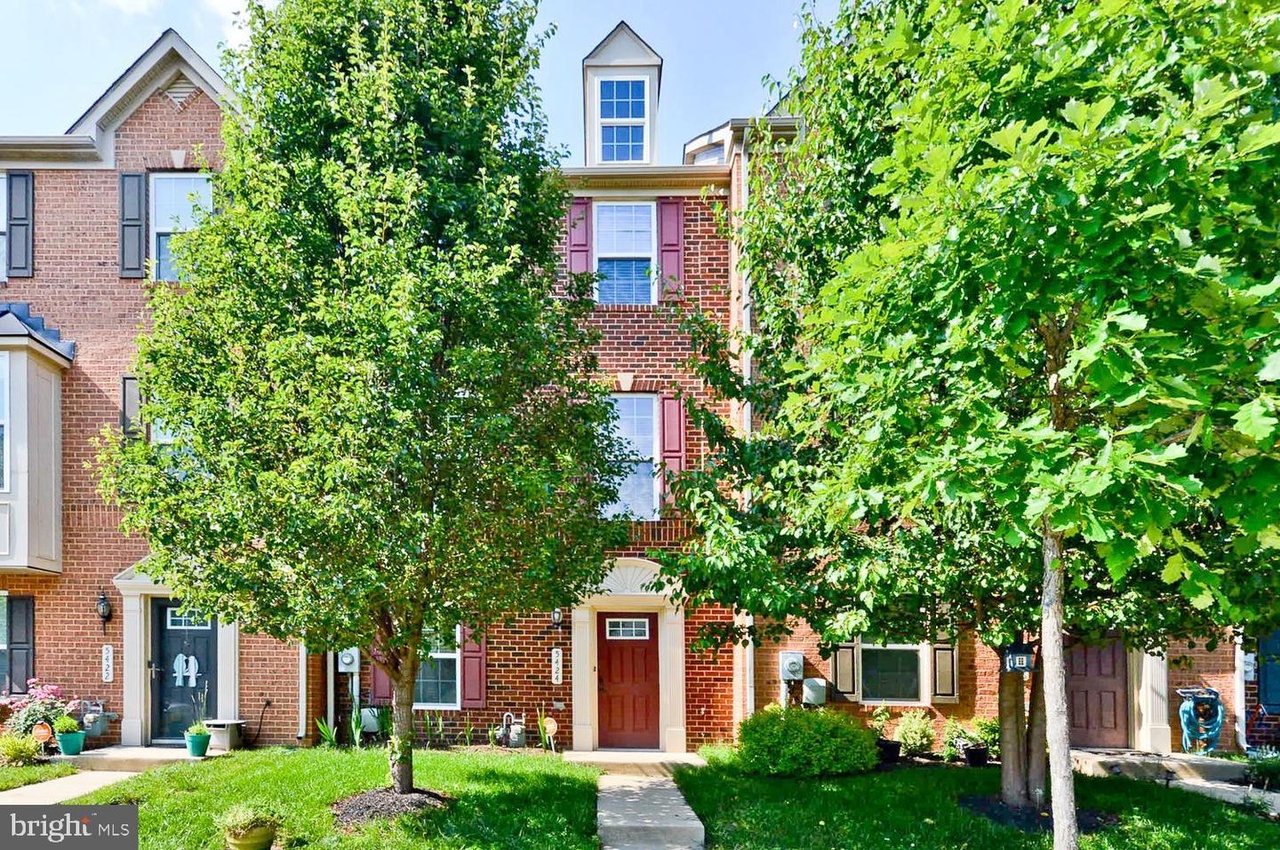 Rentals Blackstone Management