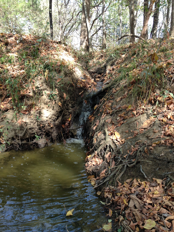 Black Warrior Riverkeeper Public Hearing December 5 on Uniontown Sewage