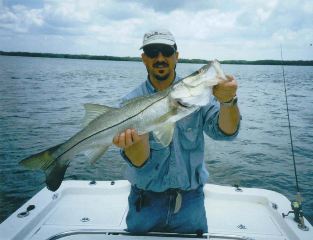 Inshore tarpon fishing charters out of Punta Gorda, Pine Island, Ft