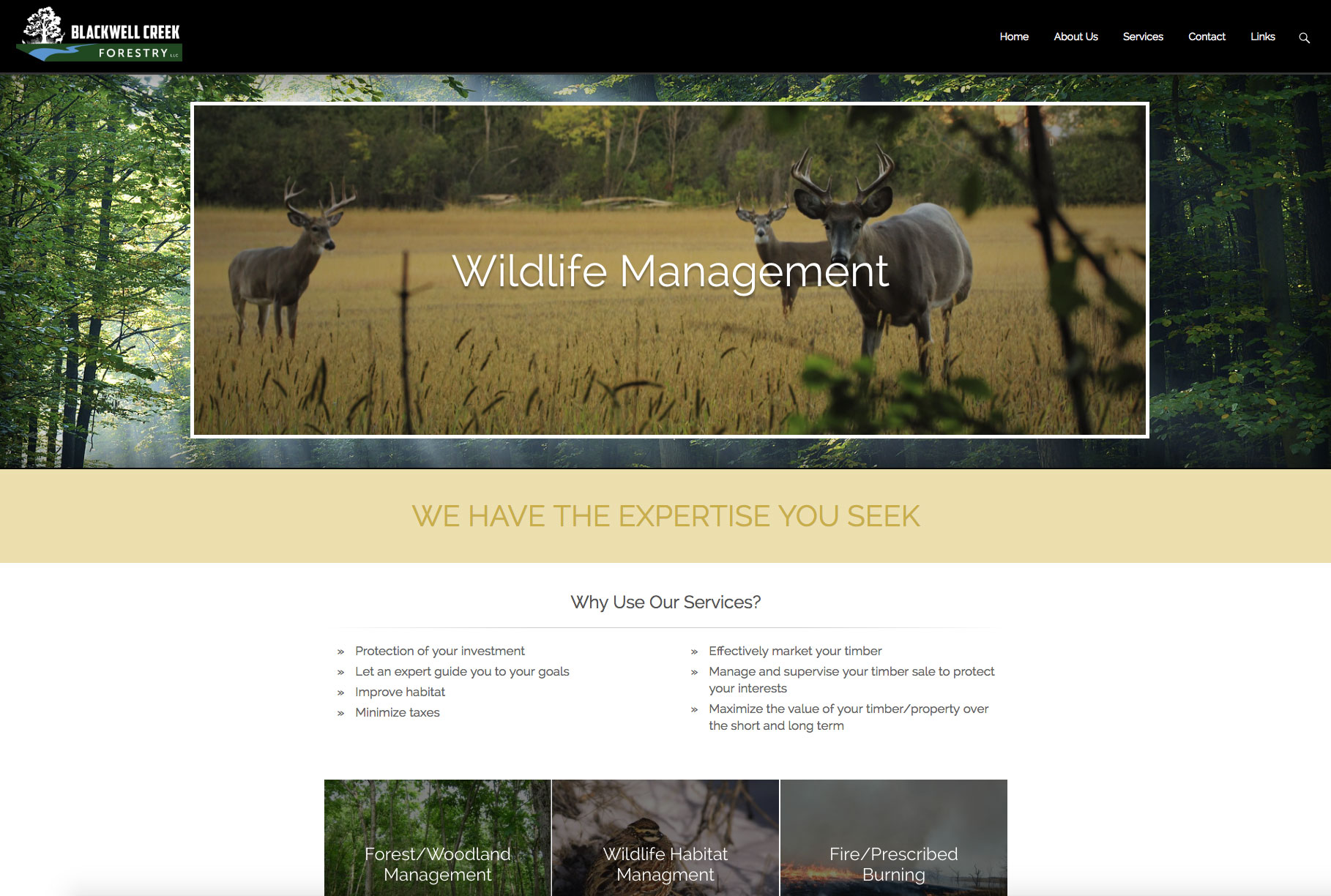 Blackwell Creek Forestry Woodland Management Timber Sale