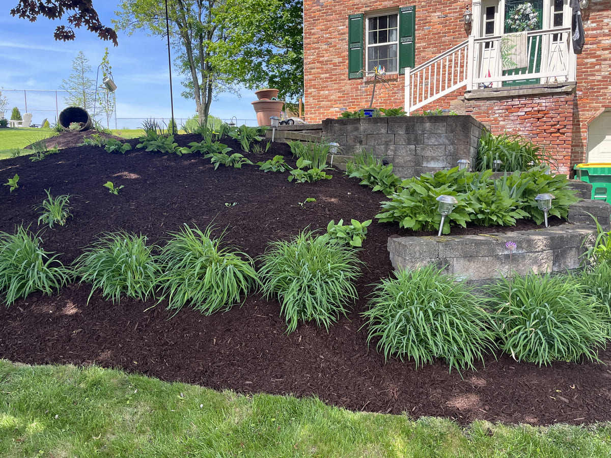 Our Work Blade Lawn Care Gallery