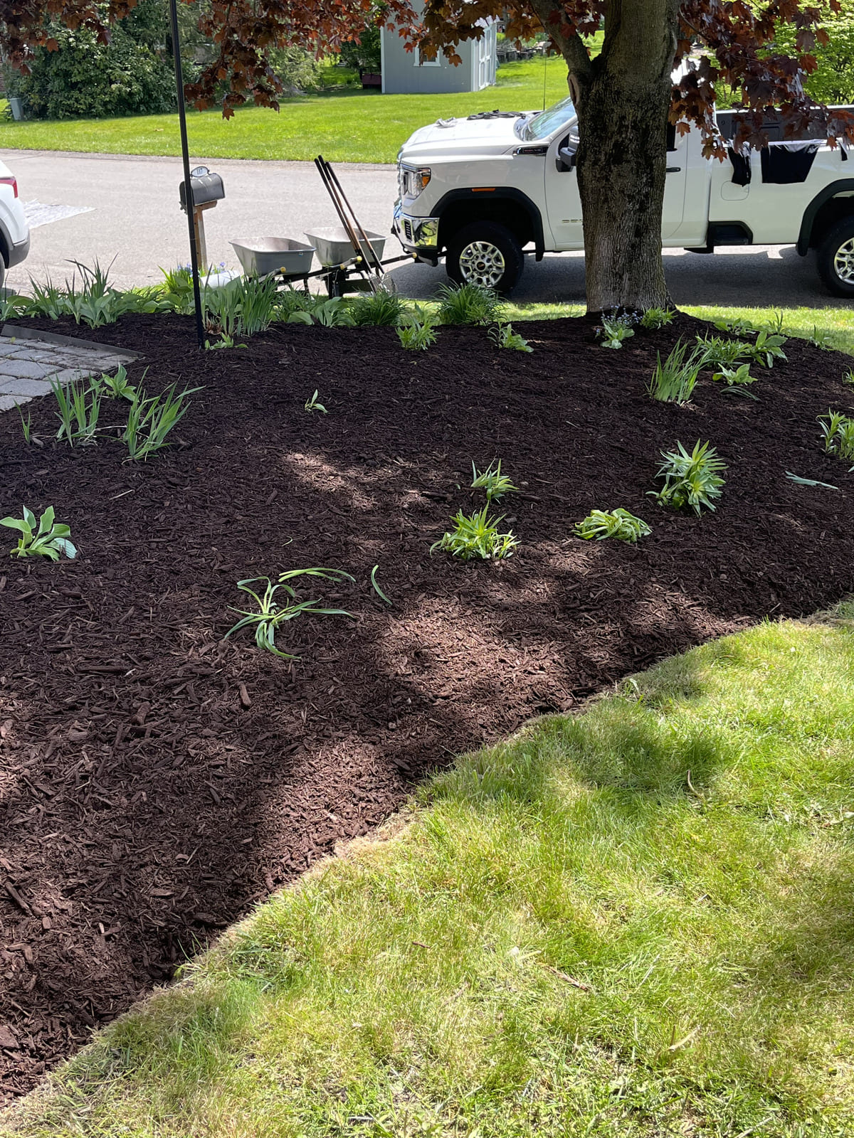 Our Work Blade Lawn Care Gallery