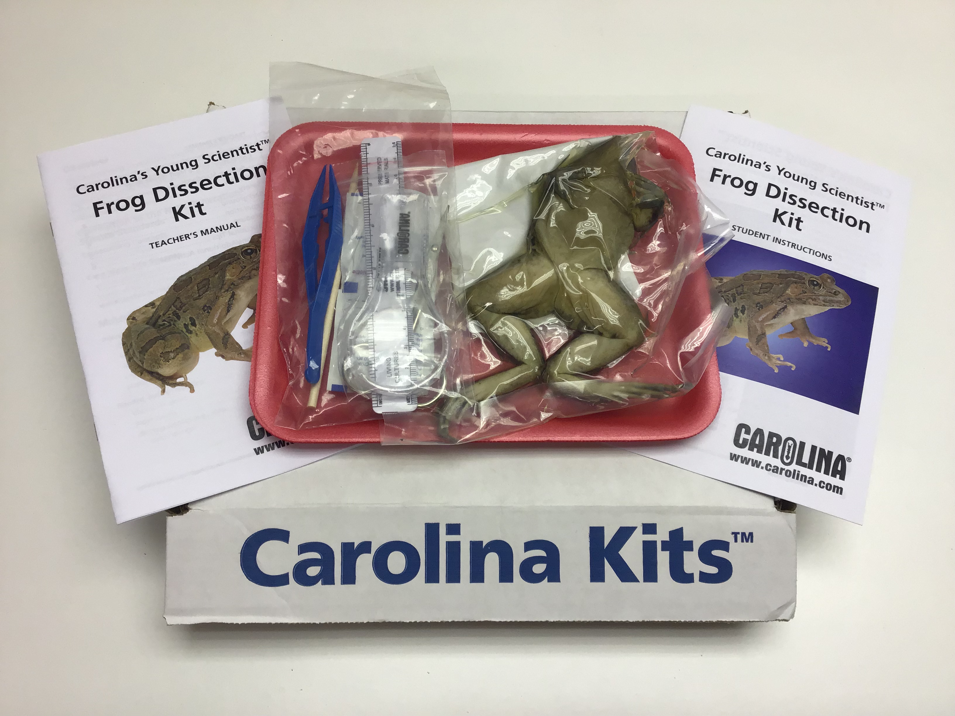 Frog Dissection Kit tillescenter Specimens Science Education