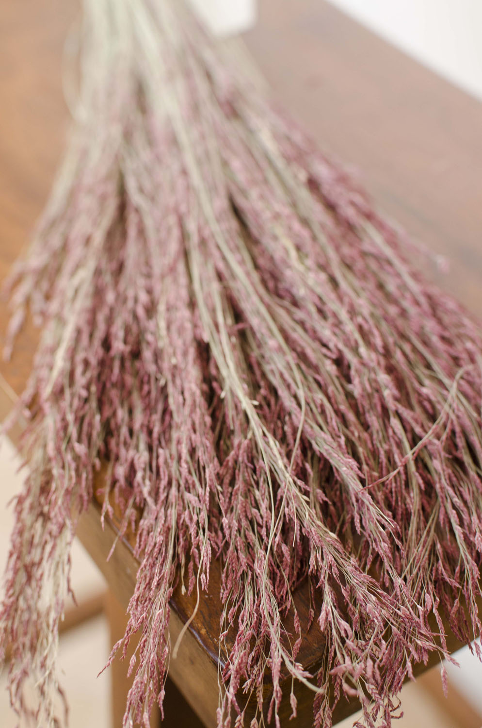 Dried RubyRed Silk Grass The Blaithin Blair Shop