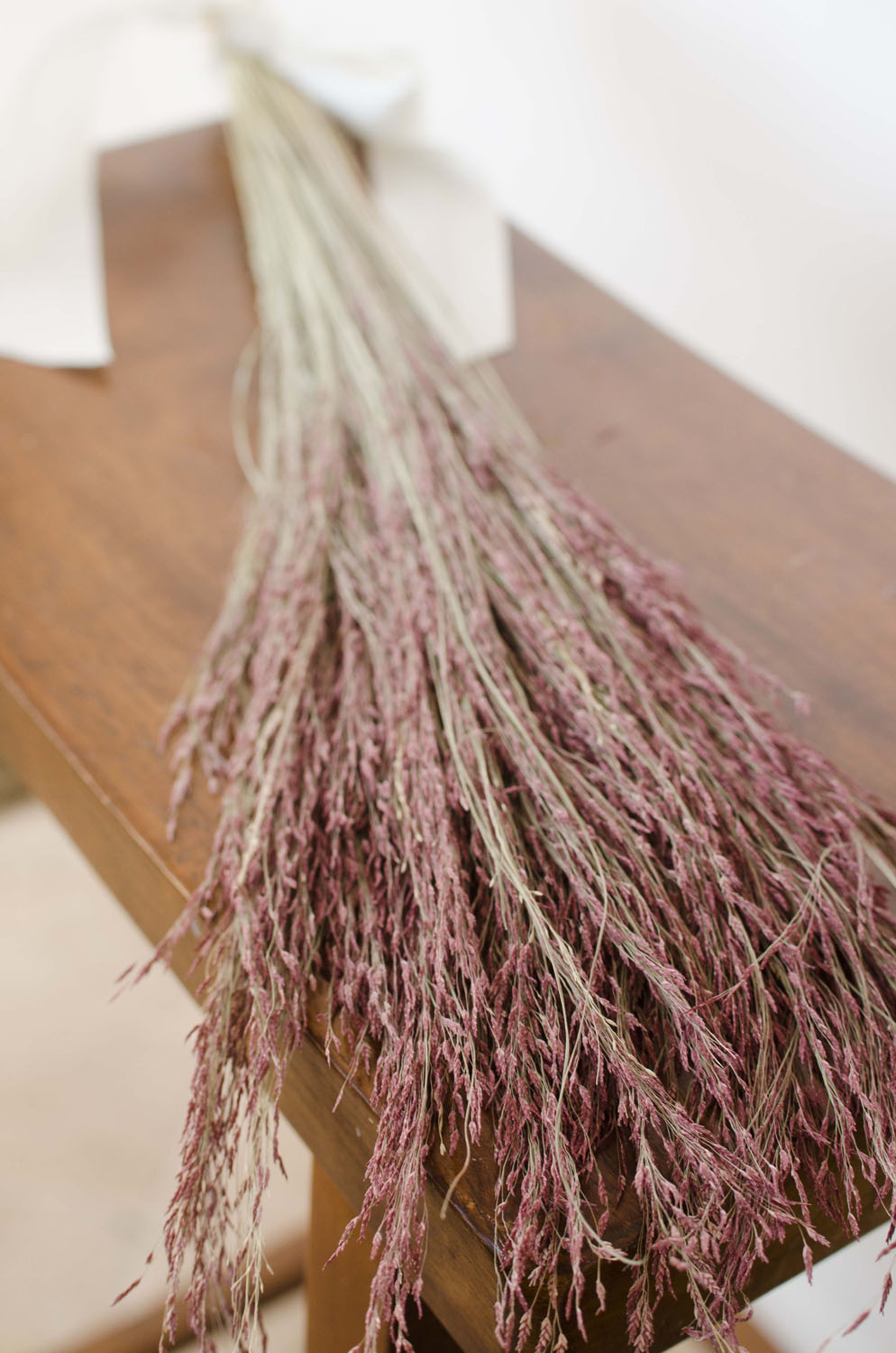 Dried RubyRed Silk Grass The Blaithin Blair Shop