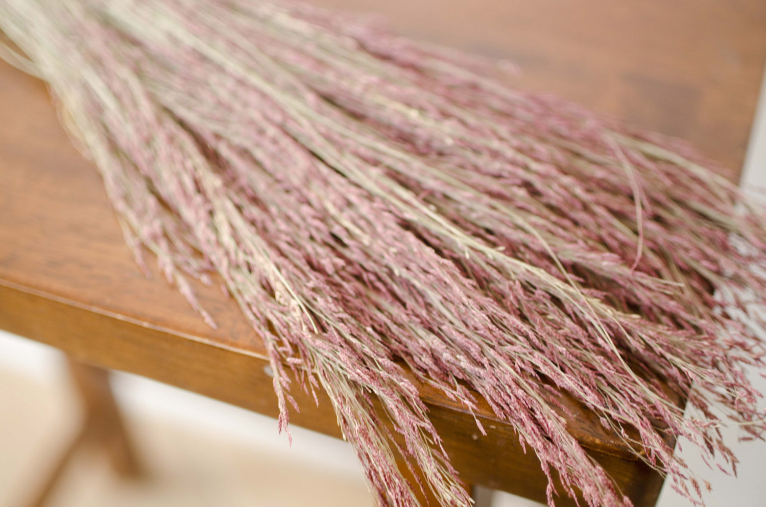 Dried RubyRed Silk Grass The Blaithin Blair Shop