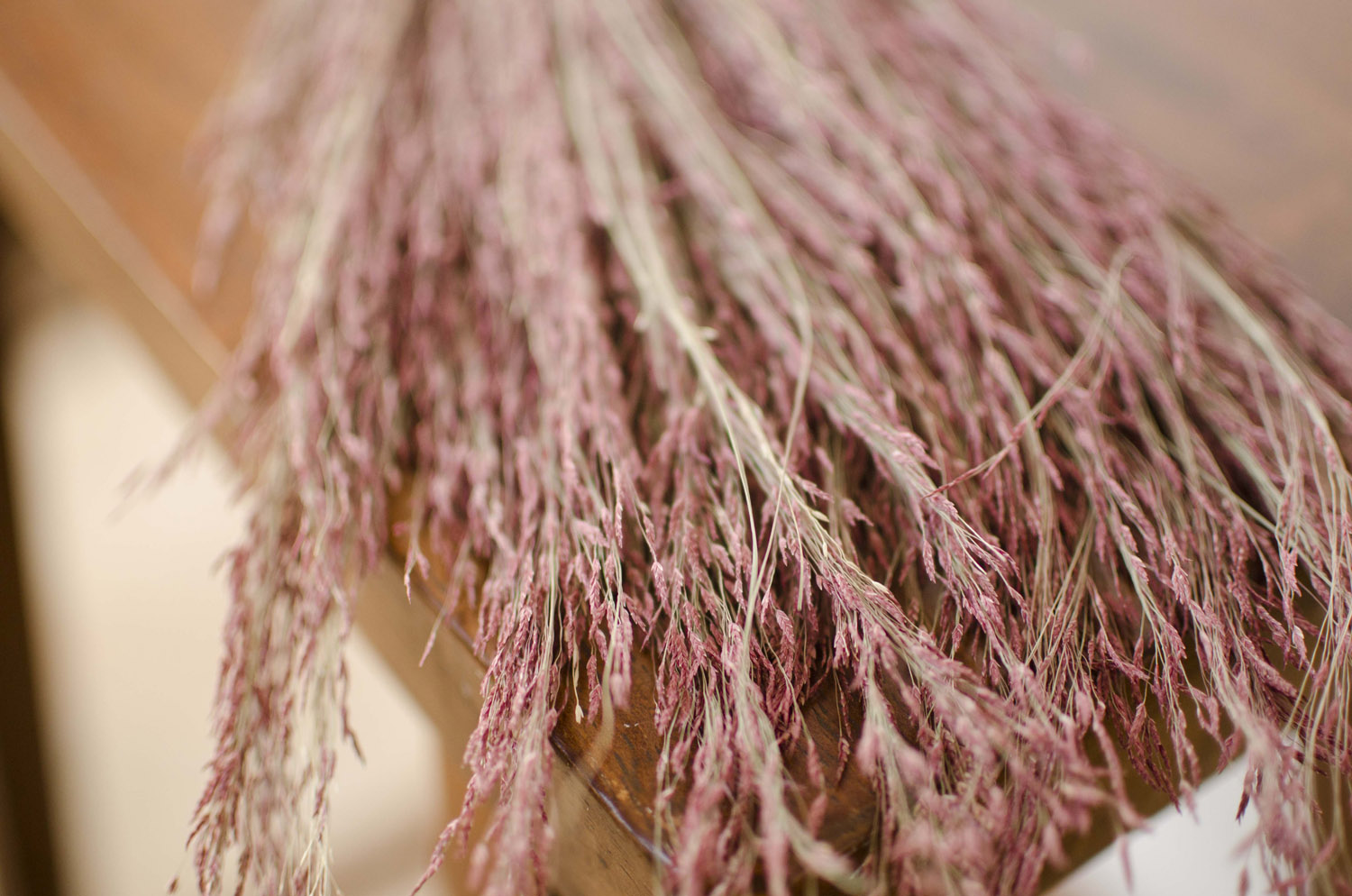 Dried RubyRed Silk Grass The Blaithin Blair Shop