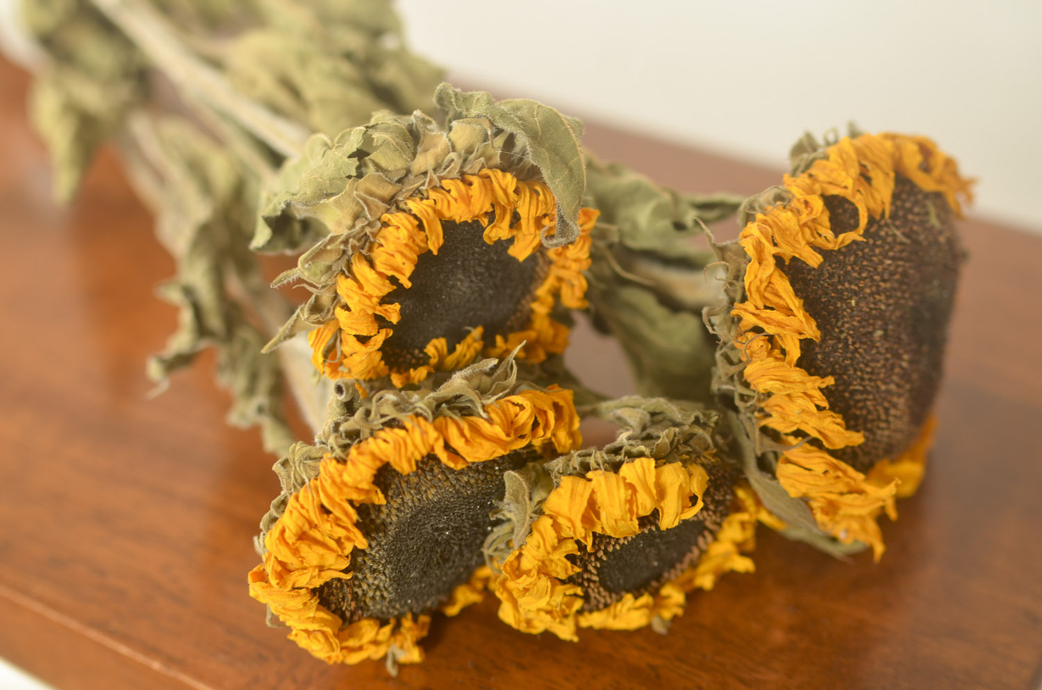 Dried Sunflowers The Blaithin Blair Shop