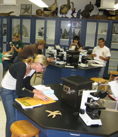 Invertebrate Zoology Laboratory