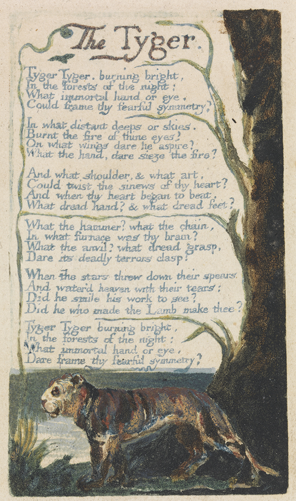 The lamb and the tyger. William Blake’s “The Lamb” & “The Tyger”. 2022