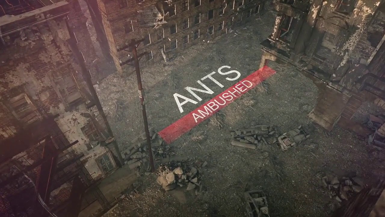 Bullseye Pest Control Promotional Video BlakSheep Creative