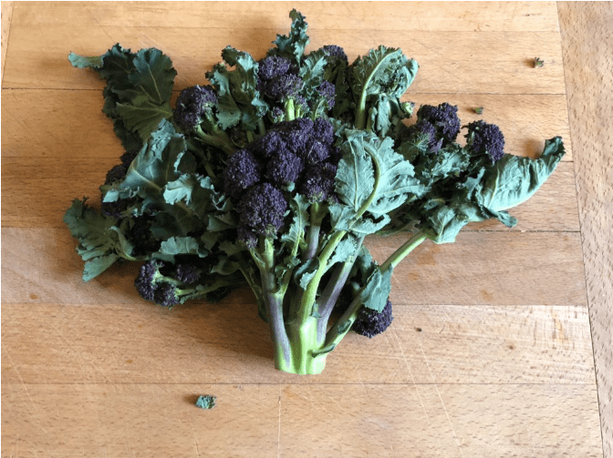 Purple sprouting broccoli with penne Blanche Vaughan