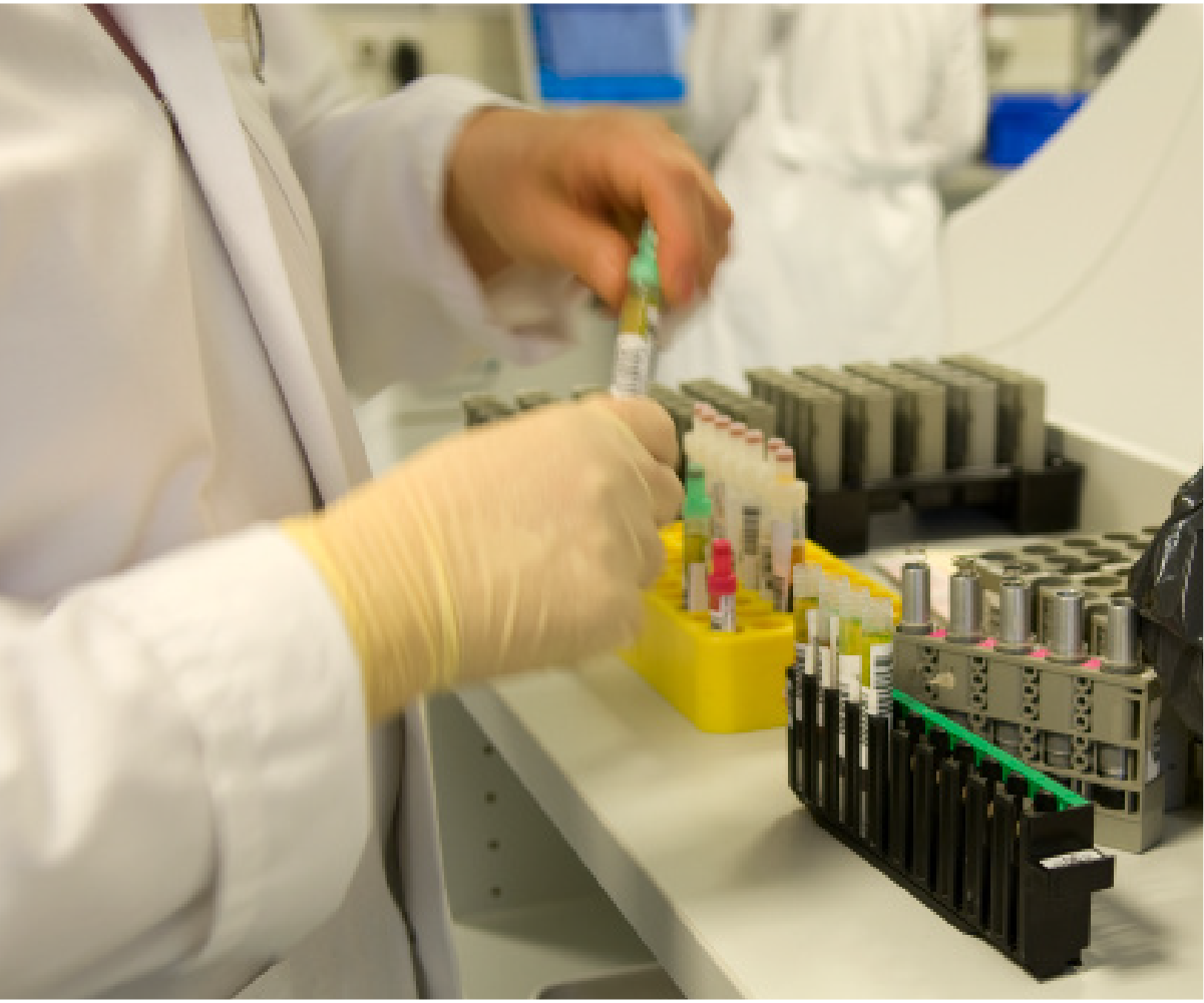 High School Drug Testing