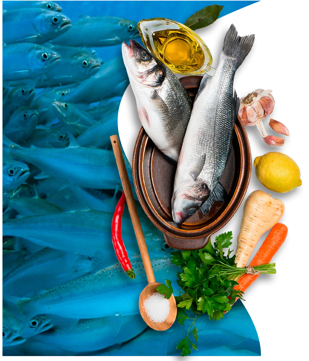 Actualizar 96+ imagen sierra madre pescados y mariscos Abzlocal.mx