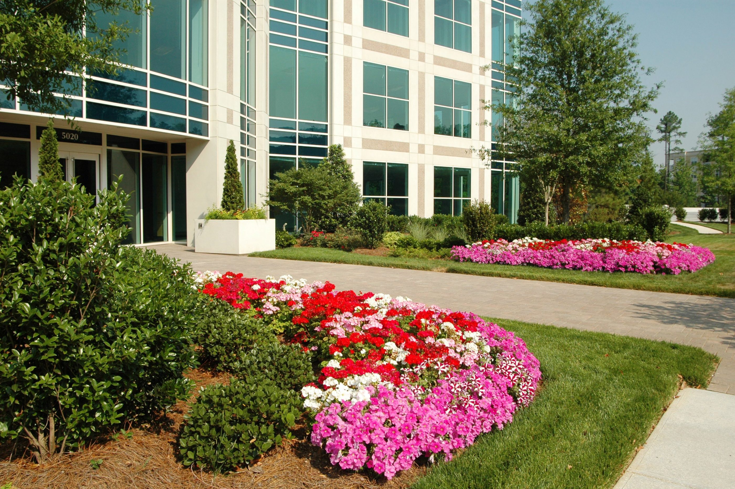 Commercial Landscape Portfolio Bland Landscaping Raleigh