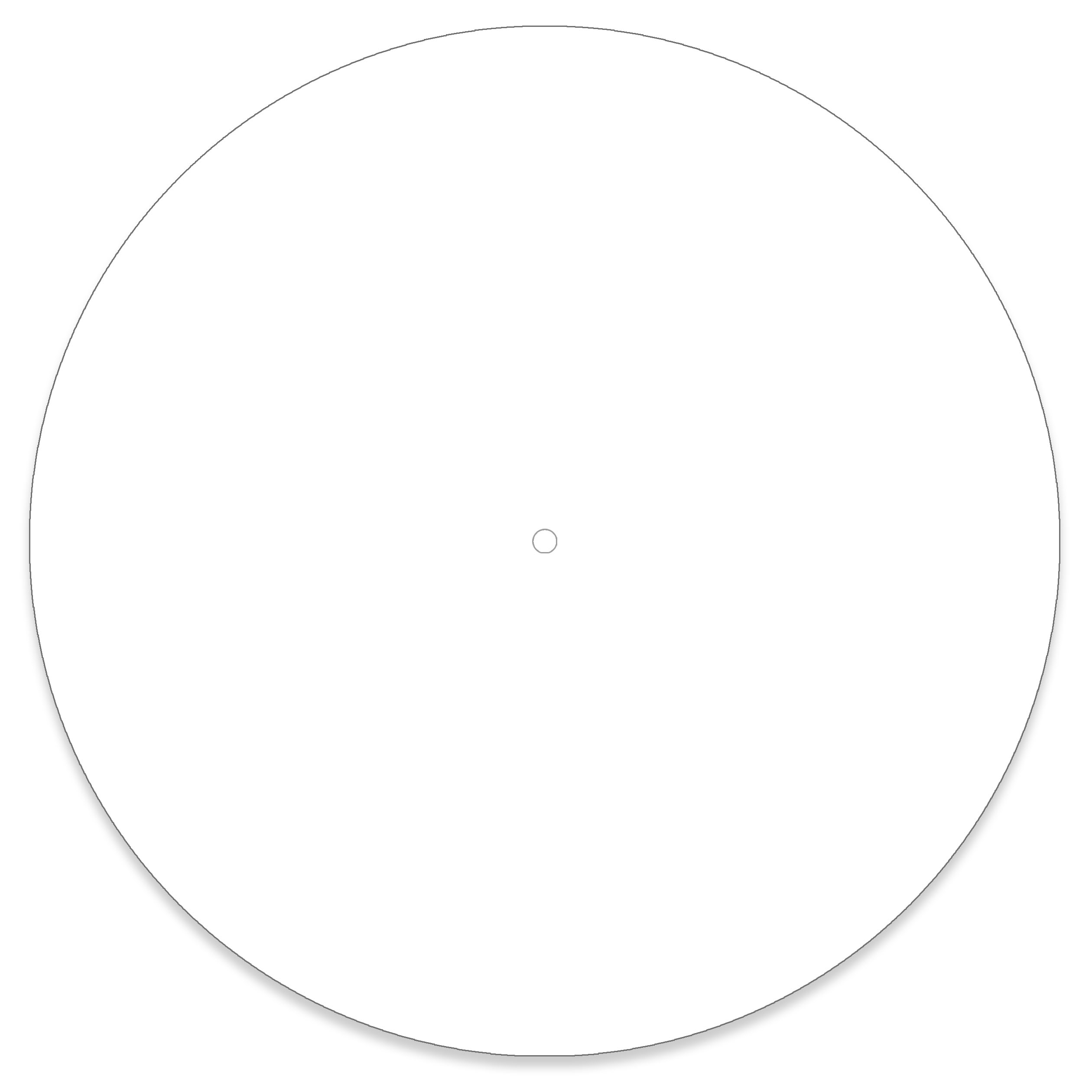 12Inch Clear blankdisc.co