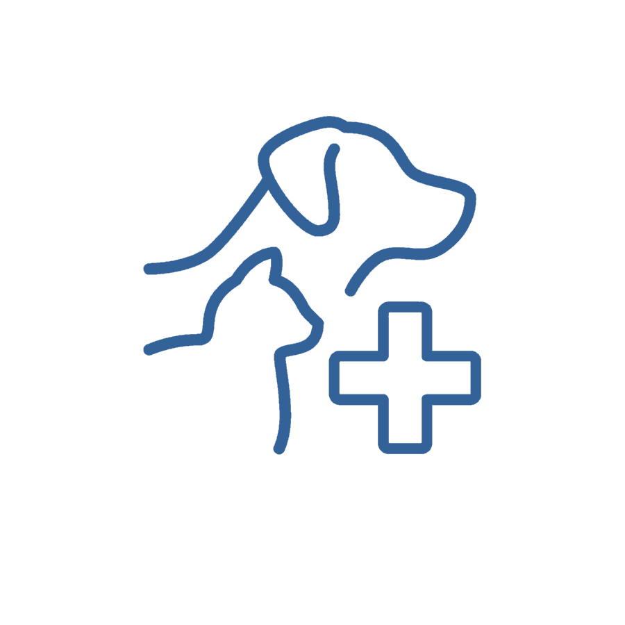 Vet Clinic forms Forms Docs 2023