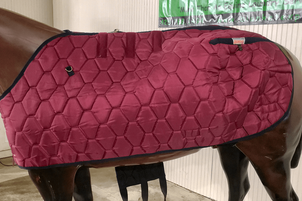 IMG_3349_QB_69_C18 Blanket Express