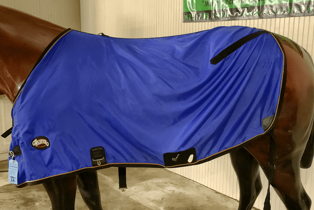 IMG_3490_SS_72_1040_142 Blanket Express