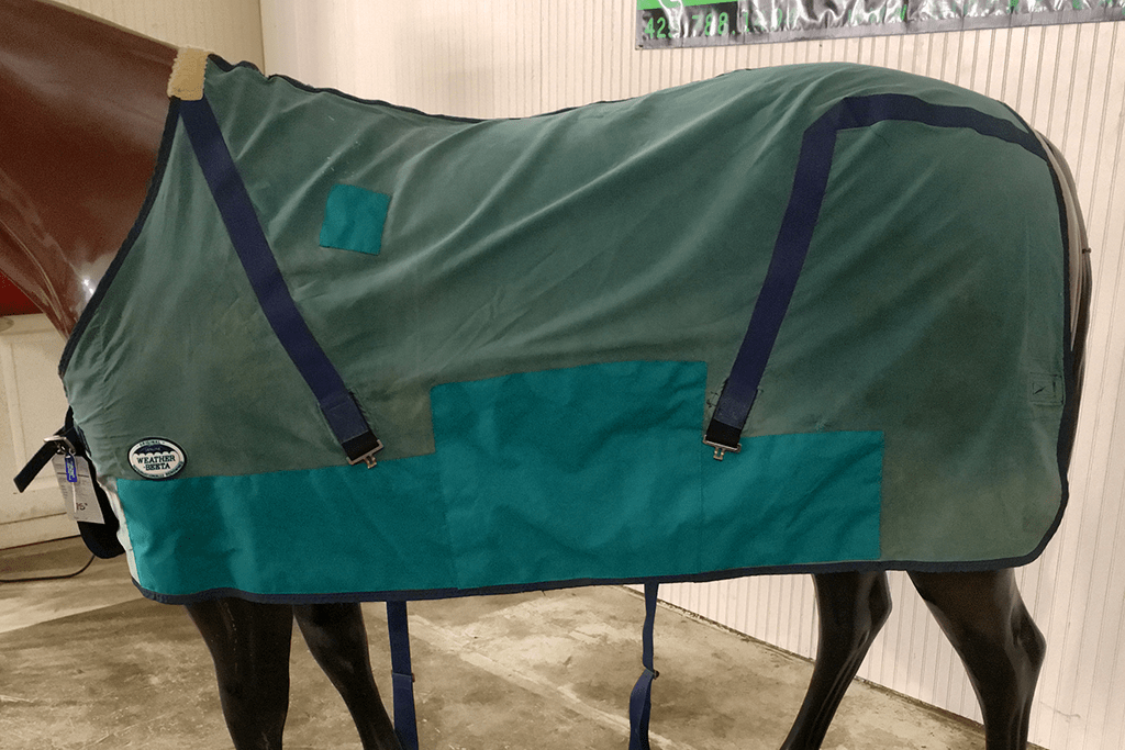 IMG_3610_SS_75_584_1 Blanket Express