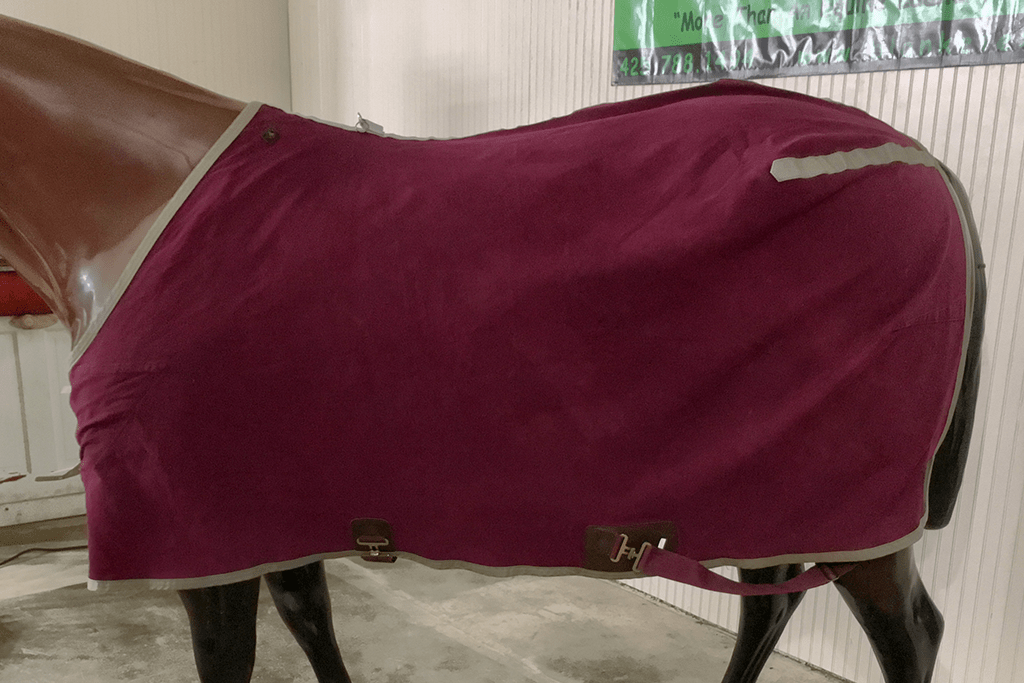 IMG_3882_CVS_80_1040_125 Blanket Express