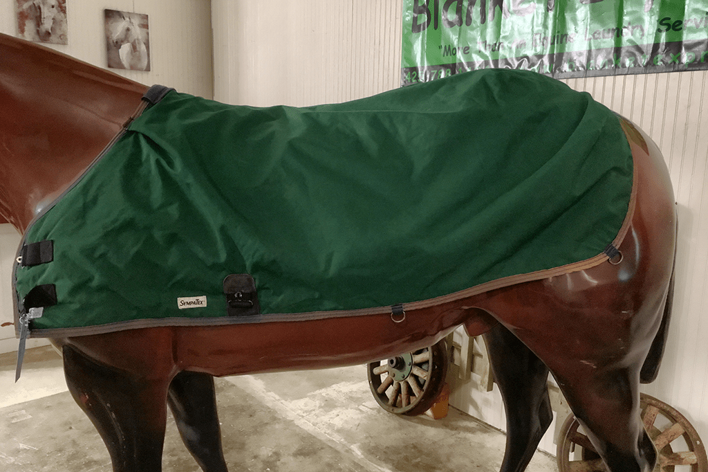 IMG_4135_TO_62_1040_189 Blanket Express