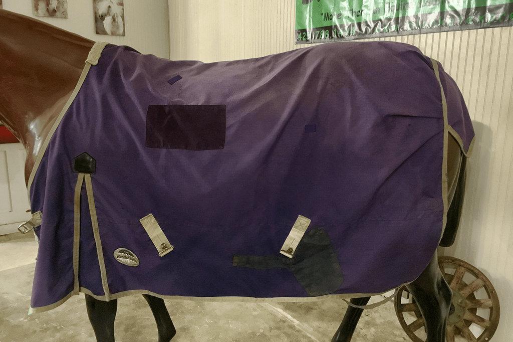 IMG_4185_RS_69_1040_78 Blanket Express