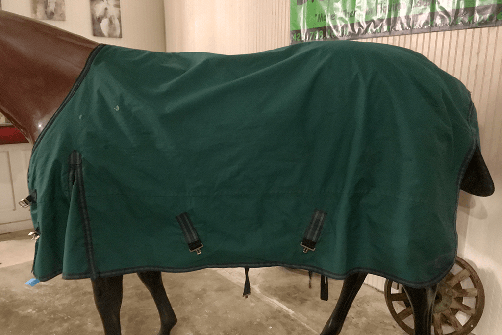 IMG_4275_TO_78_1040_101 Blanket Express