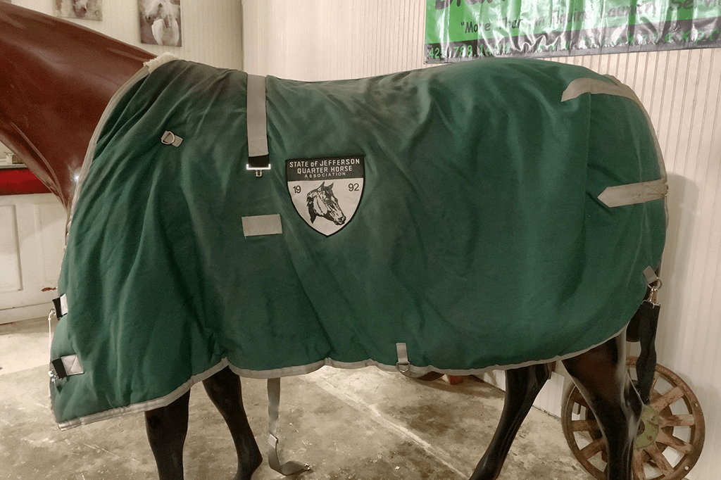 IMG_4338_QB_82_1040_145 Blanket Express