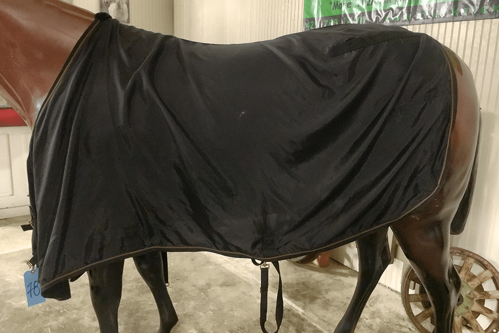 IMG_4428_SS_78_1040_124 Blanket Express