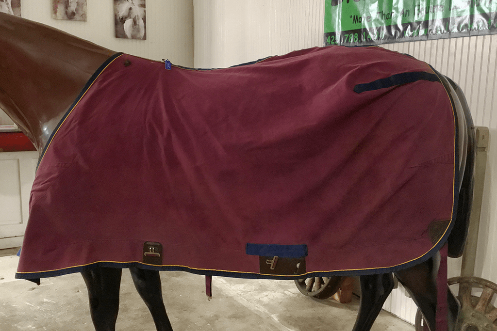 IMG_4432_CVS_SS_82_1040_127 Blanket Express