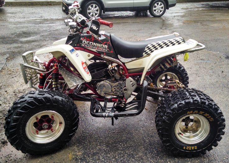 LT450R Nerf Bars for my Blaster