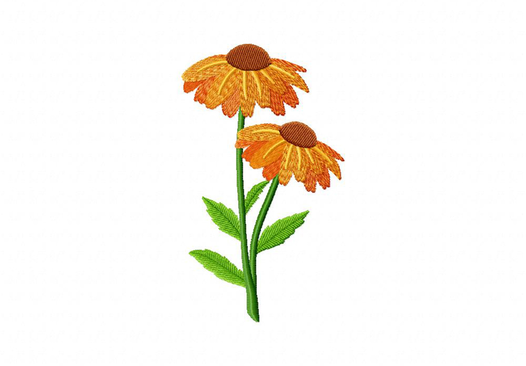 Coneflower Machine Embroidery Design Blasto Stitch