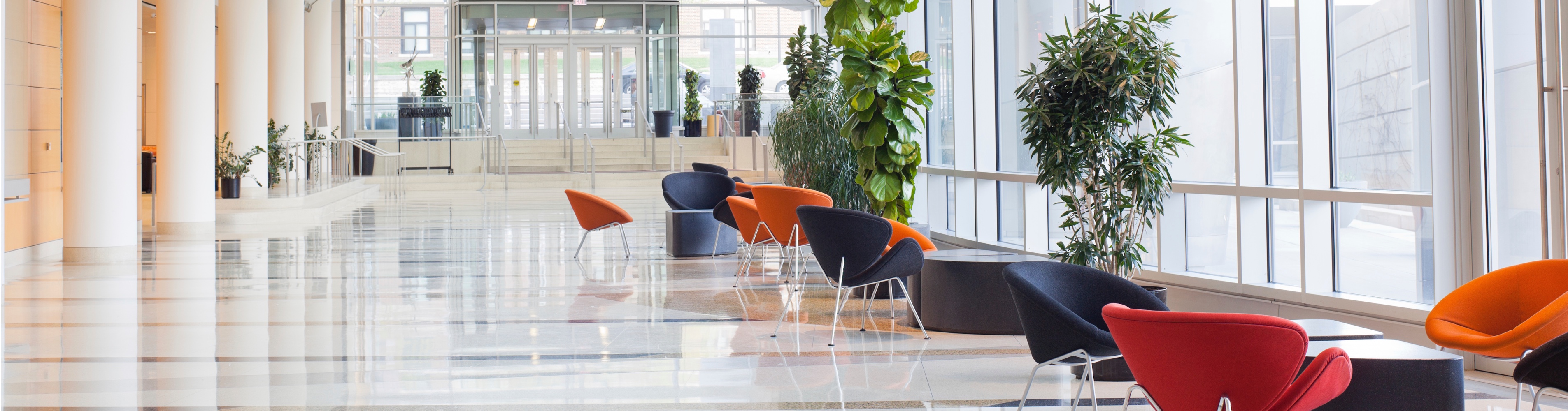 Buildout Inventory blauberg