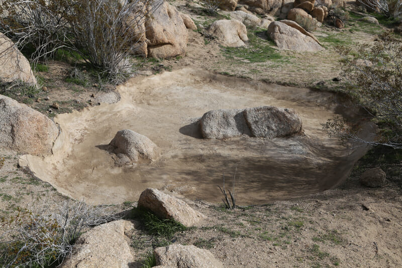 Features Blayney Ranch