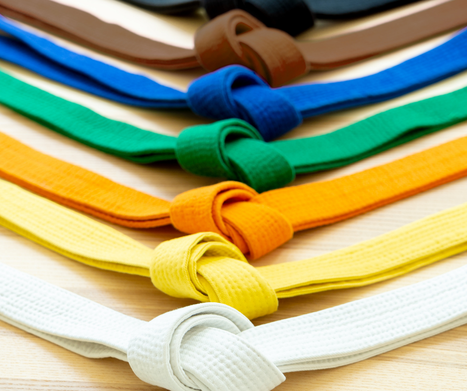 Martial Arts Grading ubicaciondepersonas.cdmx.gob.mx