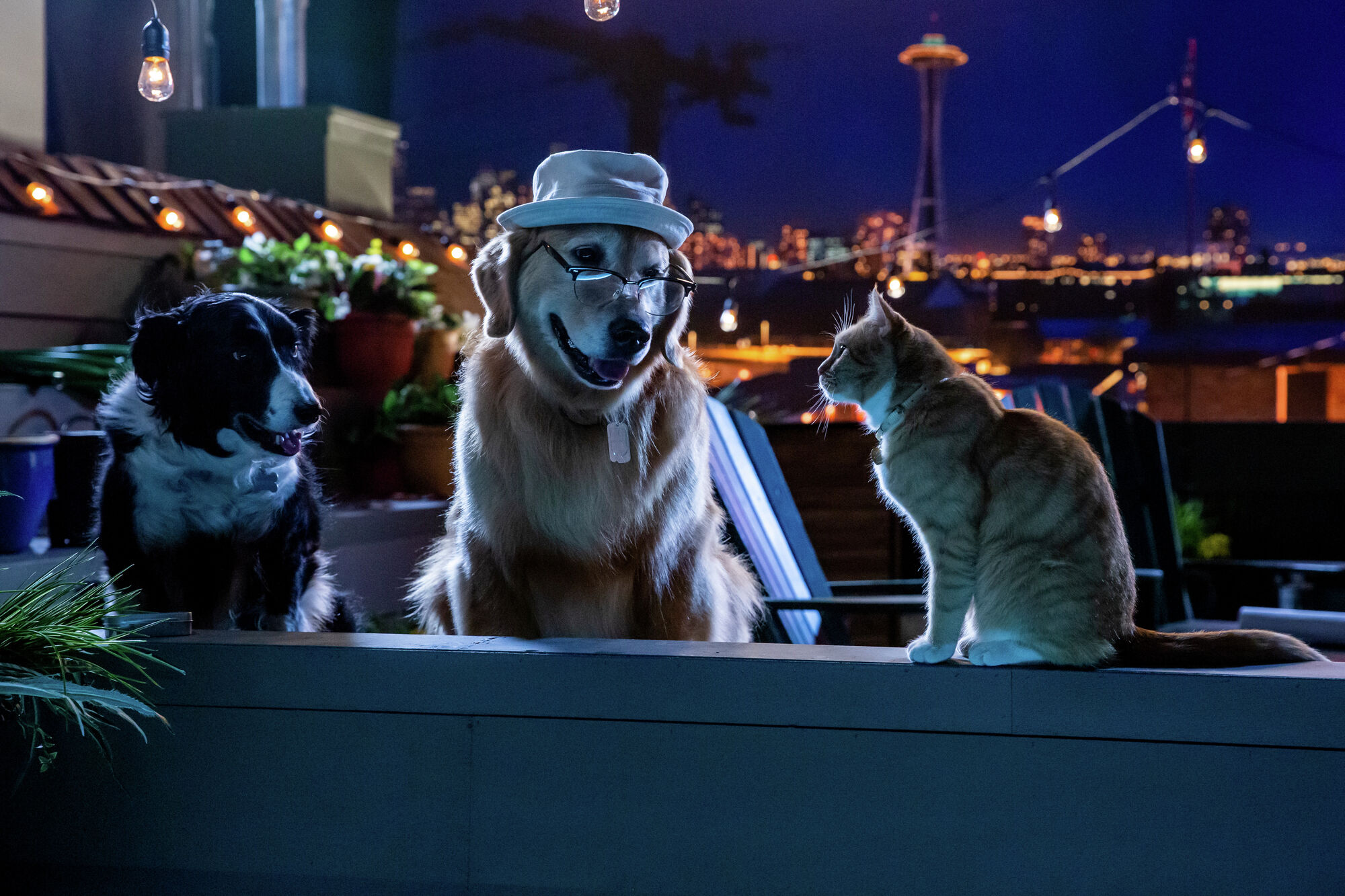 Cats & Dogs 3 Paws Unite comes to DVD and Digital • Blazing Minds