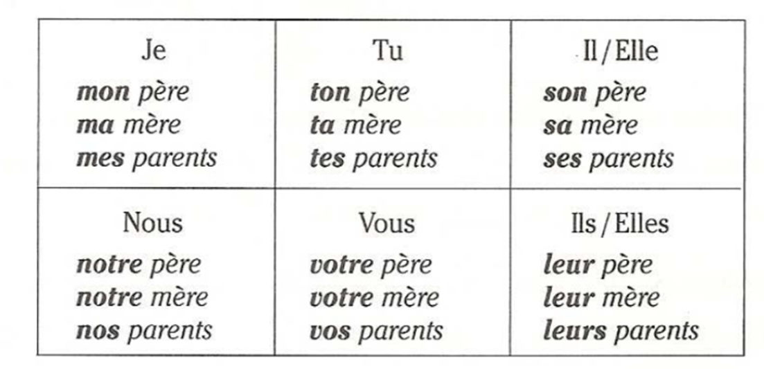 Les Possessifs Partie I Cursos de idiomas online