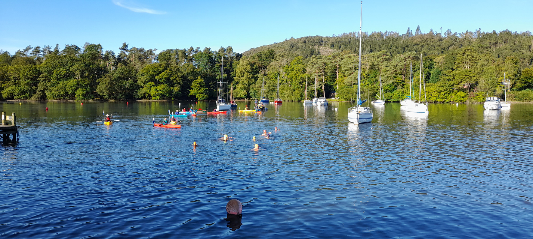 2022 Results Windermere