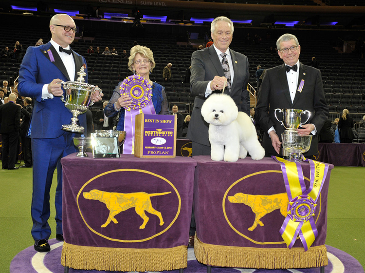 What Network Is Westminster Dog Show 2018