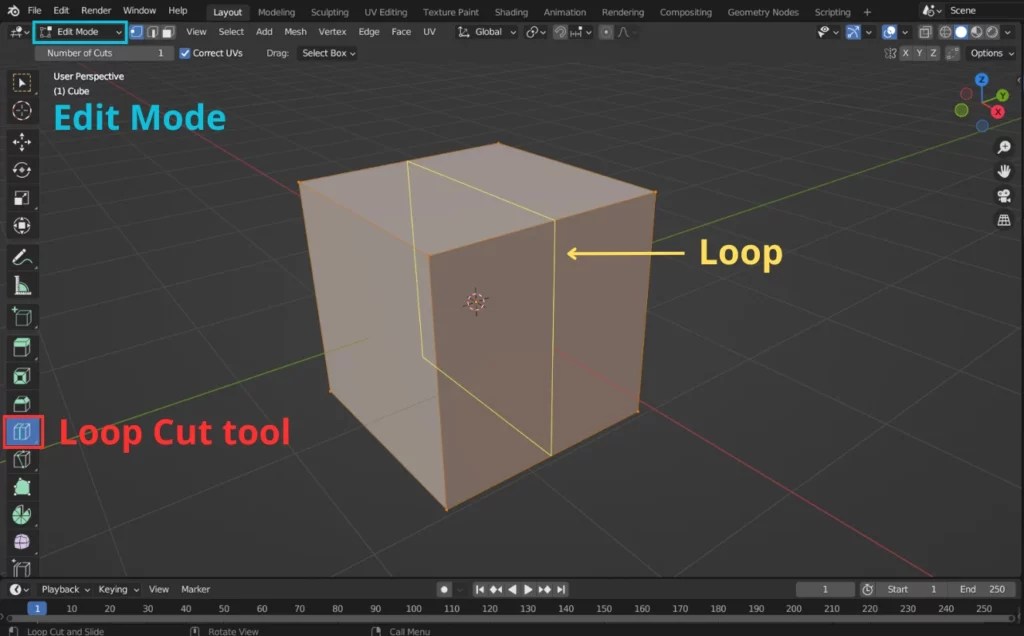 Comment fonctionne l’outil Loop Cut dans Blender ? Blendamator